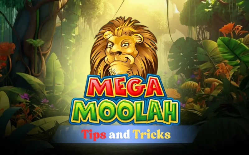 mega moolah slot