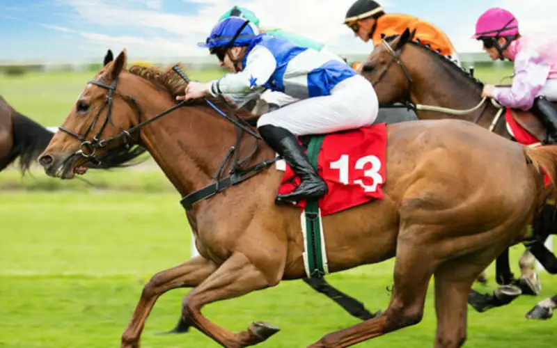 Indian Horse Racing